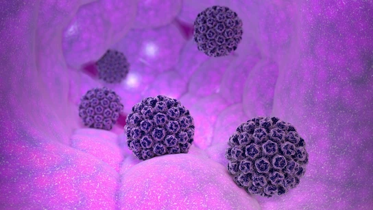 Así puedes prevenir el virus del papiloma humano (VPH) y los tumores que provoca en hombres y en mujeres Así puedes prevenir el virus del papiloma humano (VPH) y los tumores que provoca en hombres y en mujeres