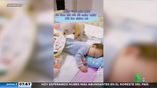 El adorable perro que acuna, arropa, cierra la puerta y apaga la luz para que el bebé duerma plácidamente El adorable perro que acuna, arropa, cierra la puerta y apaga la luz para que el bebé duerma plácidamente