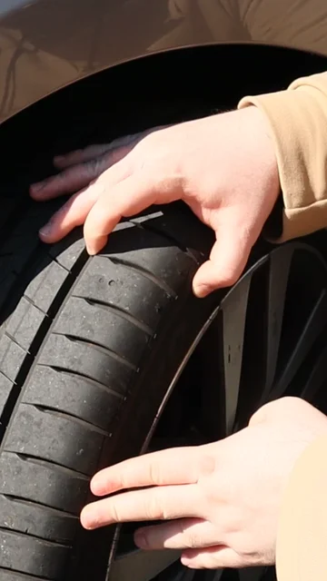 Neumático delantero