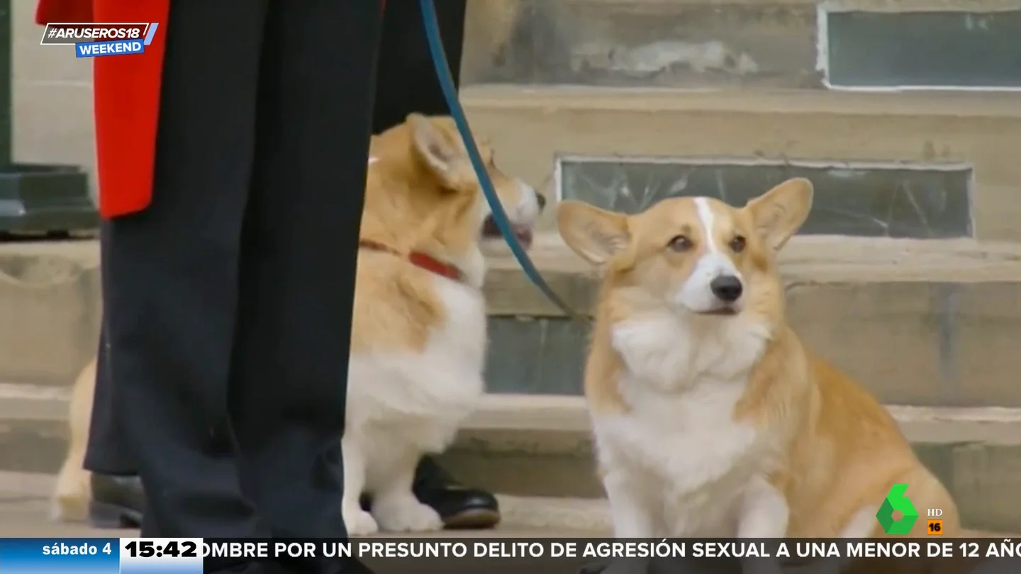 ¿Habla el fantasma de la reina Isabel II con sus perros en casa de Sarah Ferguson? ¿Habla el fantasma de la reina Isabel II con sus perros en casa de Sarah Ferguson?