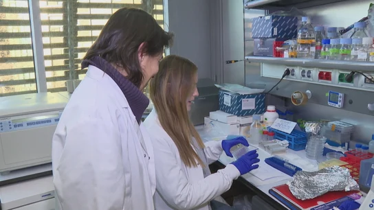 Investigadores españoles descubren un marcador que permite prever la metástasis en un tipo de cáncer de piel Investigadores españoles descubren un marcador que permite prever la metástasis en un tipo de cáncer de piel