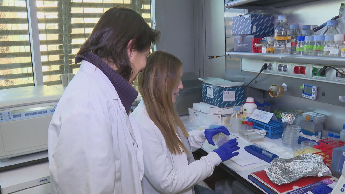 Investigadores espa&ntilde;oles descubren un marcador que permite prever la met&aacute;stasis en un tipo de c&aacute;ncer de piel