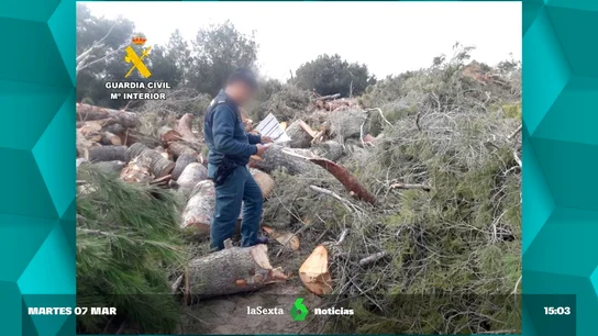 tala Orihuela tala Orihuela