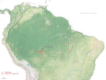 La Amazonía pierde sus bosques