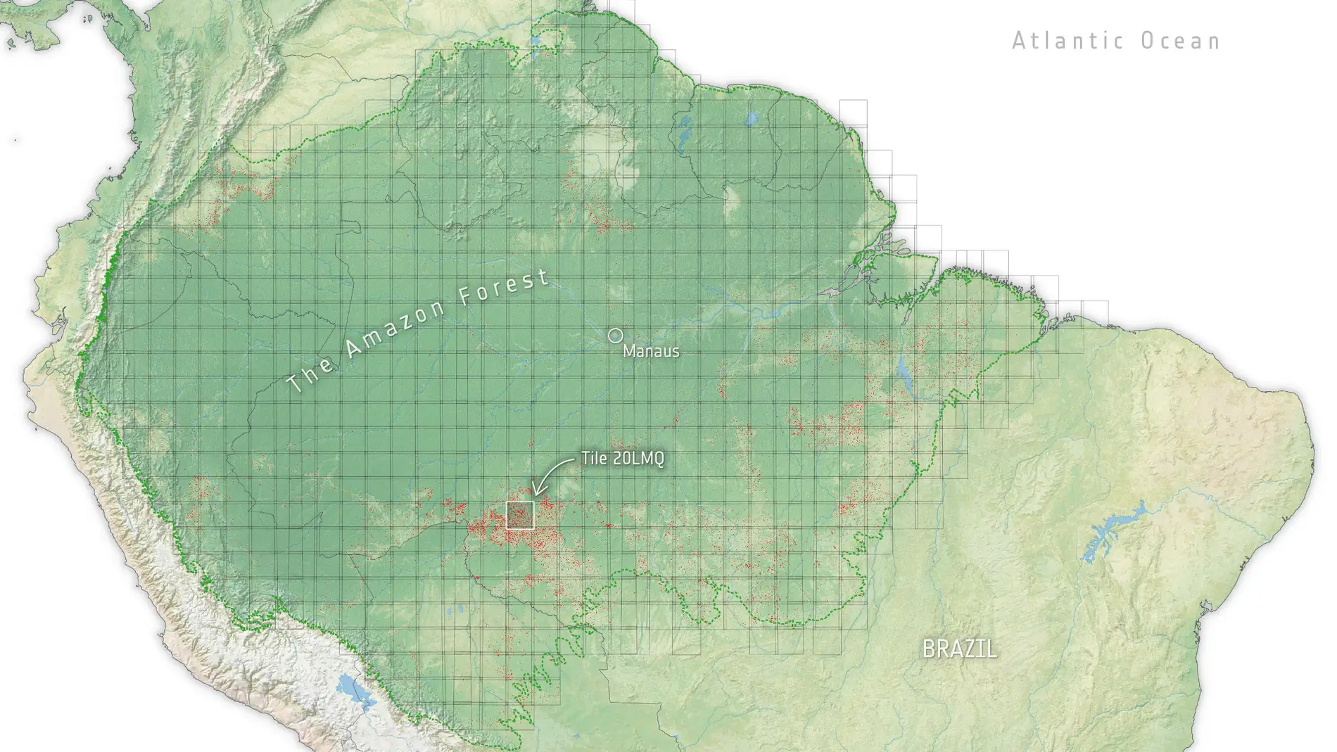 La Amazonía pierde sus bosques