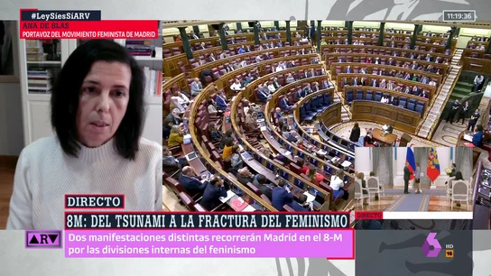 La portavoz del Movimiento Feminista de Madrid, sobre la división por la ley del 'sólo sí es sí': "Advertimos de que era un grave error" La portavoz del Movimiento Feminista de Madrid, sobre la división por la ley del 'sólo sí es sí': "Advertimos de que era un grave error"