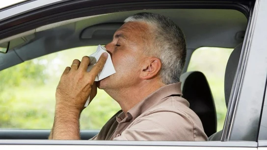 Un hombre se suena en el coche Un hombre se suena en el coche