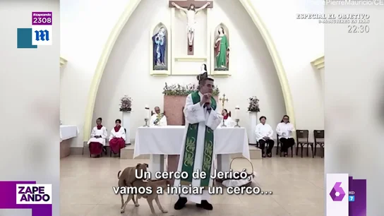 Así reacciona un cura al interrumpir dos perros su misa y hacer "la caidita de Roma": "No podéis hacer eso aquí, es una cosa fea" Así reacciona un cura al interrumpir dos perros su misa y hacer "la caidita de Roma": "No podéis hacer eso aquí, es una cosa fea"