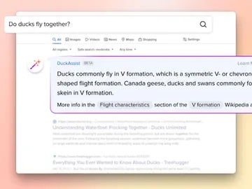 El aspecto del nuevo DuckAssist El aspecto del nuevo DuckAssist