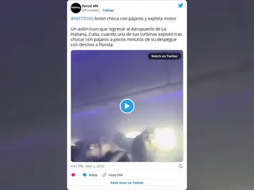 El motor de un avión explota tras chocar con unos pájaros en pleno vuelo y provoca un incendio en la cabina El motor de un avión explota tras chocar con unos pájaros en pleno vuelo y provoca un incendio en la cabina