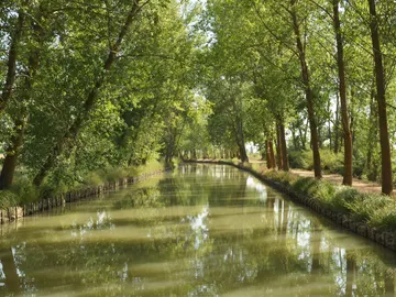 Canal de Castilla Canal de Castilla
