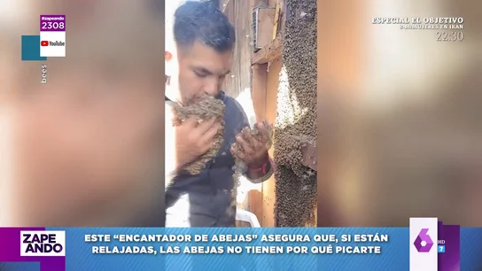 El arriesgado trabajo de este apicultor: así mueve a las abejas a "puñados y con cariño" sin protección El arriesgado trabajo de este apicultor: así mueve a las abejas a "puñados y con cariño" sin protección
