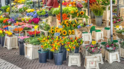 Mercado de flores Mercado de flores