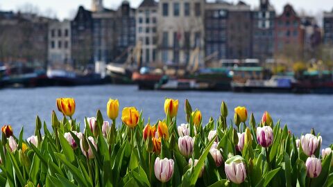 Ámsterdam