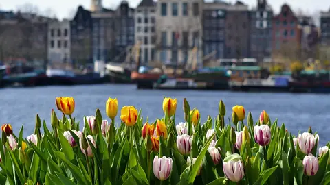 Ámsterdam Ámsterdam