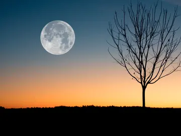 Imagen de la Luna llena al anochecer Imagen de la Luna llena al anochecer