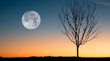 Imagen de la Luna llena al anochecer