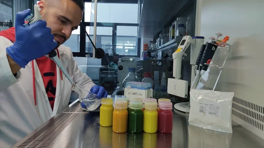 La nueva bebida probiótica del CSIC que reduce el colesterol La nueva bebida probiótica del CSIC que reduce el colesterol