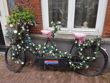 Por qué Ámsterdam es un magnífico destino primaveral Por qué Ámsterdam es un magnífico destino primaveral