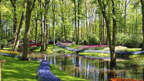 Jardines de Keukenhof