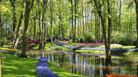 Jardines de Keukenhof Jardines de Keukenhof
