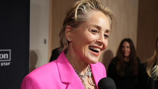 Sharon Stone denuncia que por sus desnudos y escenas de sexo en 'Instinto básico perdió la custodia de su hijo Sharon Stone denuncia que por sus desnudos y escenas de sexo en 'Instinto básico perdió la custodia de su hijo