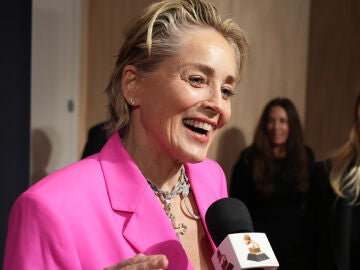 Sharon Stone denounces that she lost custody of her son for the nudity and sex scenes in ‘Basic Instinct’