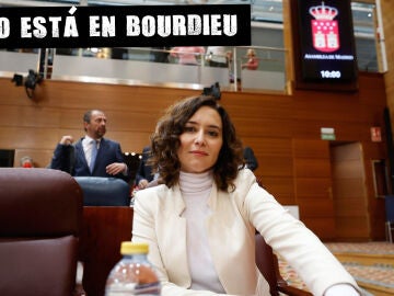 Ayuso, la bully jefa