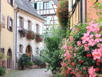 Qué ver en Eguisheim, uno de los pueblos más bellos de la Alsacia