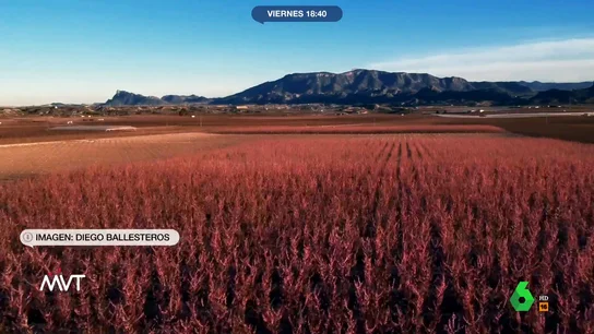 Un país para viajárselo en Cieza Un país para viajárselo en Cieza
