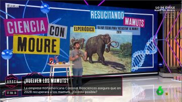 ¿Vuelven los mamuts? Una empresa norteamericana asegura que los 'resucitarán' para 2028