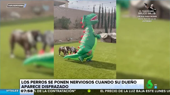La divertida reacción de unos perros cuando su dueño aparece disfrazado de dinosaurio La divertida reacción de unos perros cuando su dueño aparece disfrazado de dinosaurio