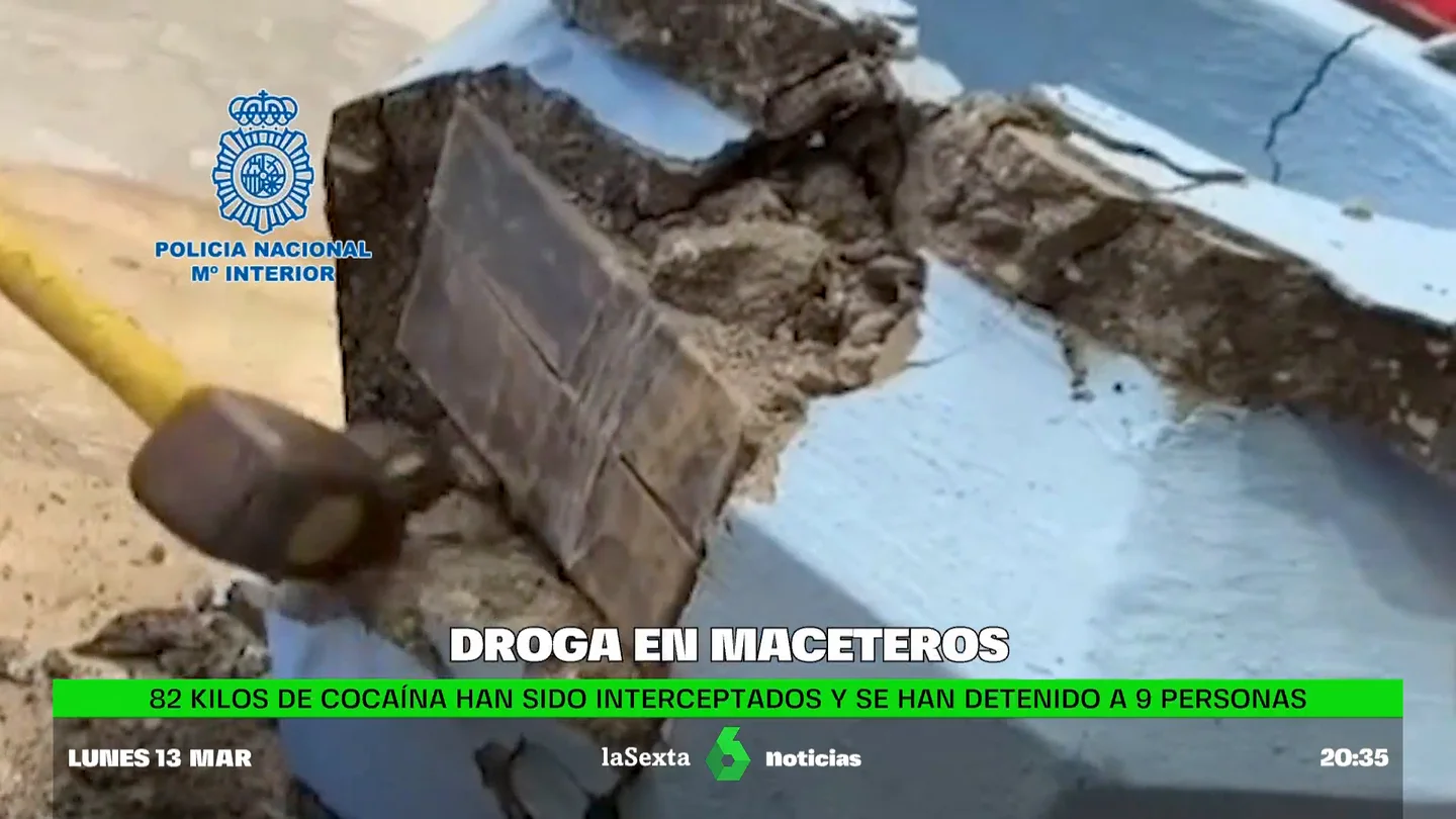 Droga en maceteros Droga en maceteros