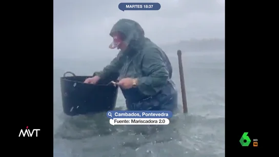 Las impactantes imágenes del trabajo de una mariscadora en pleno temporal Las impactantes imágenes del trabajo de una mariscadora en pleno temporal