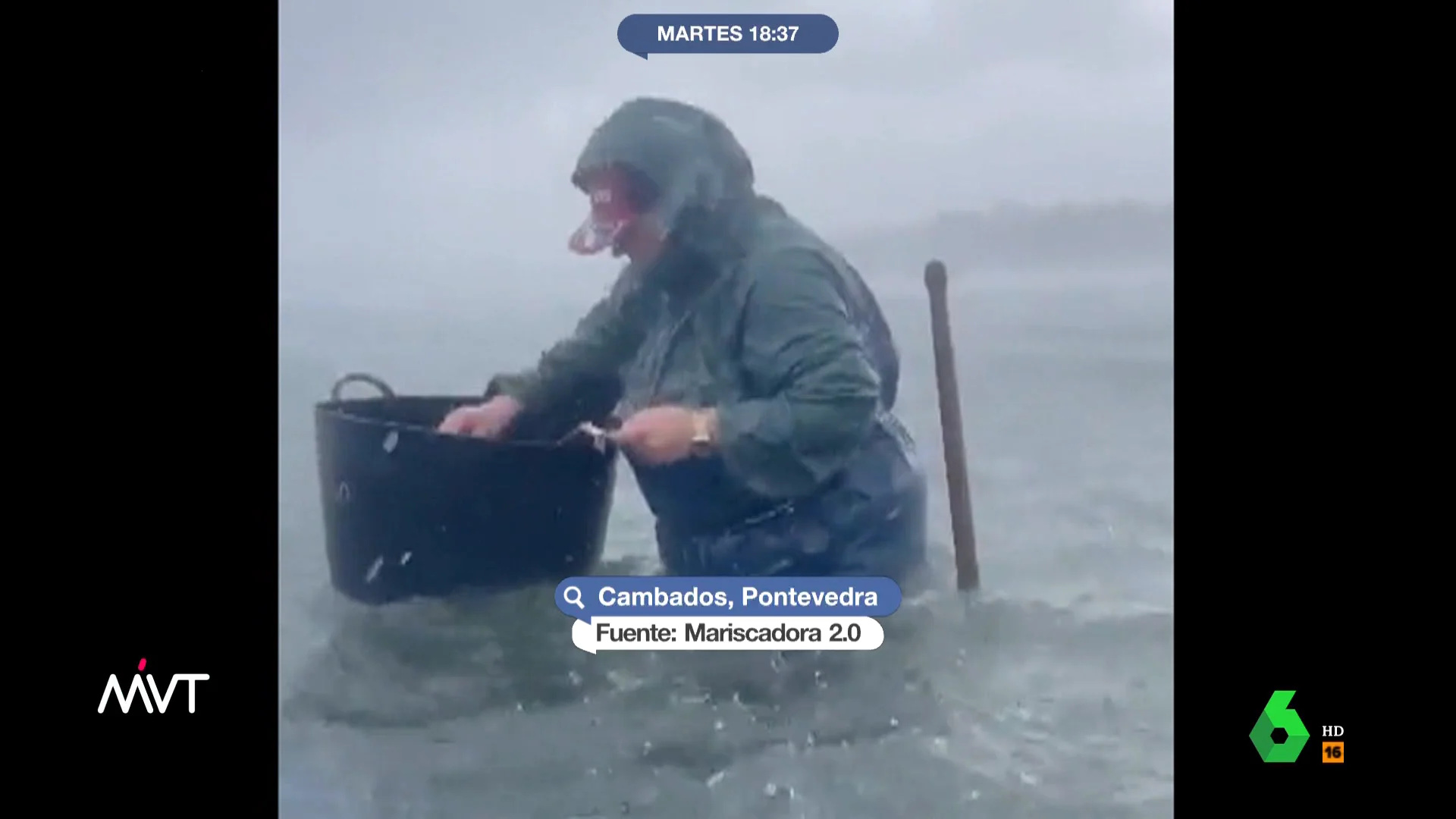 Las impactantes imágenes del trabajo de una mariscadora en pleno temporal