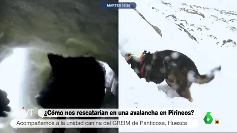 El rescate de los perros de la Guardia Civil a un reportero de Más Vale Tarde sepultado bajo la nieve