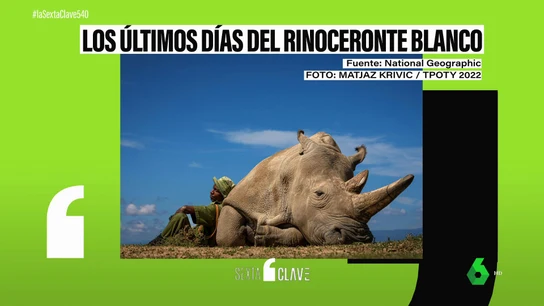 El militar Zachary Mutai junto a Najin, uno de los últimos rinocerontes blancos del norte El militar Zachary Mutai junto a Najin, uno de los últimos rinocerontes blancos del norte