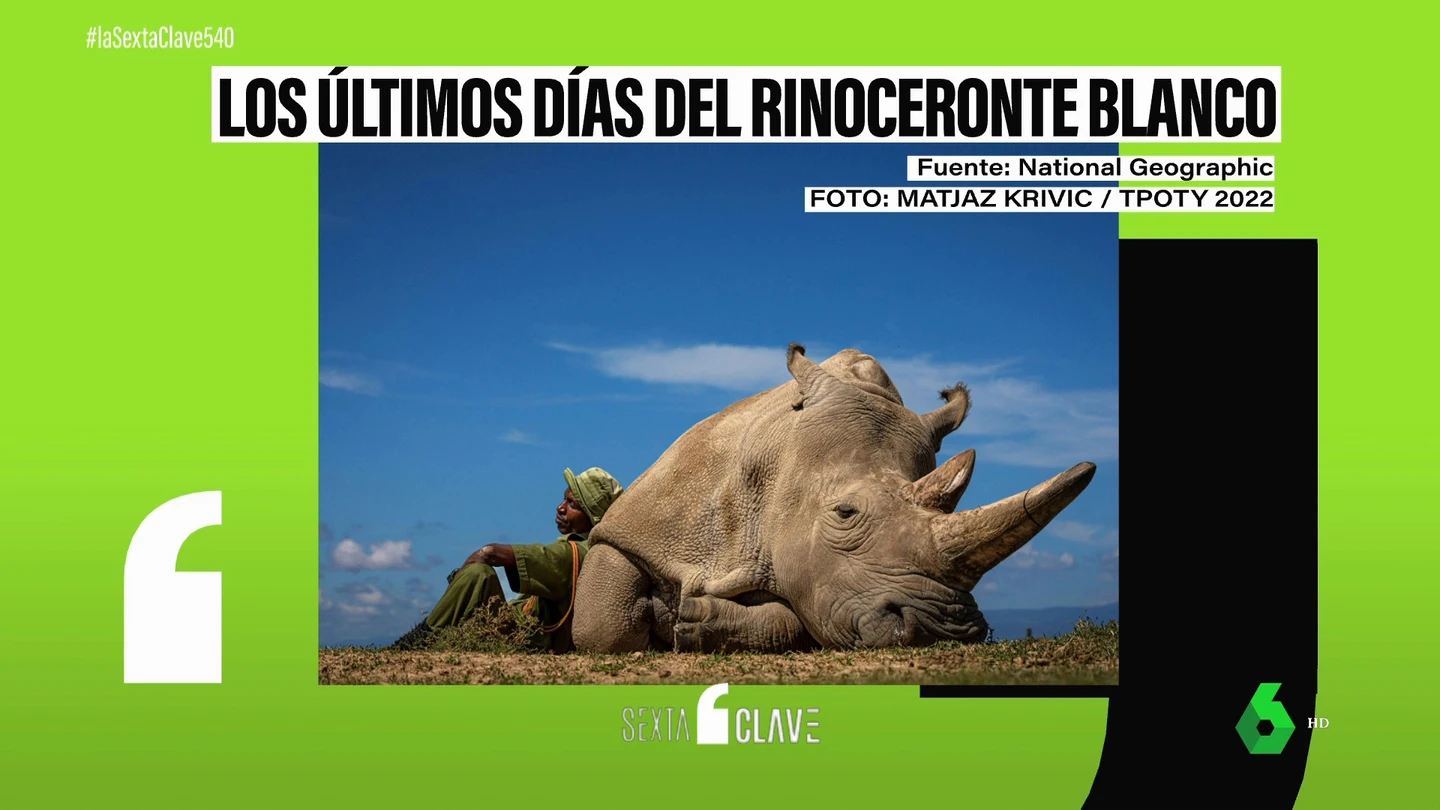 El militar Zachary Mutai junto a Najin, uno de los últimos rinocerontes blancos del norte El militar Zachary Mutai junto a Najin, uno de los últimos rinocerontes blancos del norte