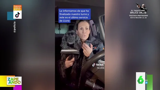 La emotiva despedida a Lluna en su ultimo día como perra policía: "Feliz jubilación, compañera" La emotiva despedida a Lluna en su ultimo día como perra policía: "Feliz jubilación, compañera"