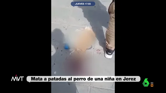 Perro Perro