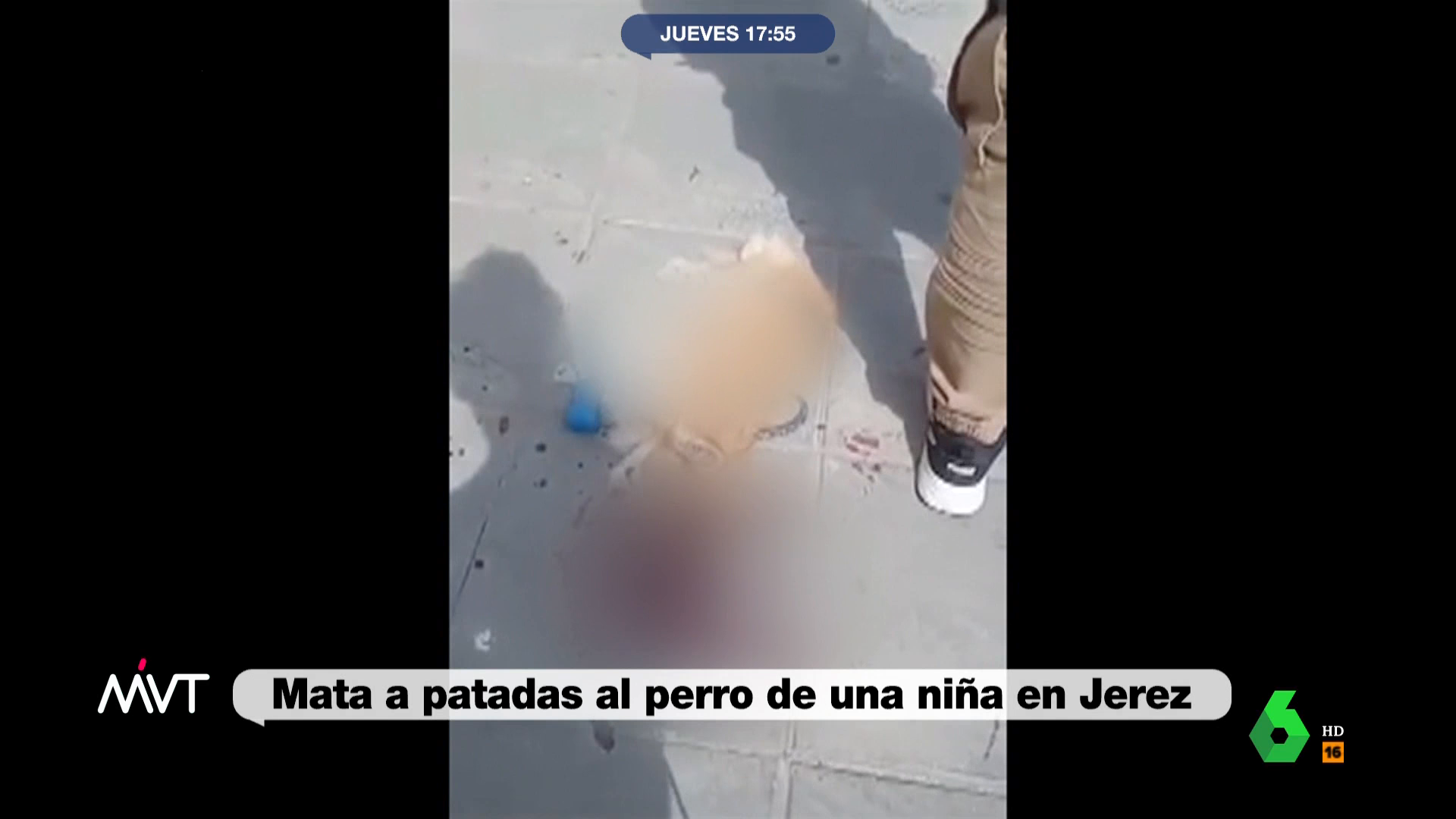 Un hombre mata a un perro a golpes en plena calle delante de la niña que lo  paseaba