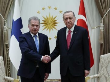 Turkey gives Finland a free hand to join NATO
