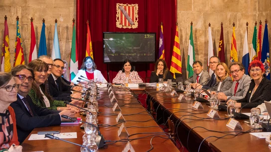 La ministra de Sanidad, Carolina Darias, preside la reunión del pleno del Consejo Interterritorial del Sistema Nacional de Salud La ministra de Sanidad, Carolina Darias, preside la reunión del pleno del Consejo Interterritorial del Sistema Nacional de Salud