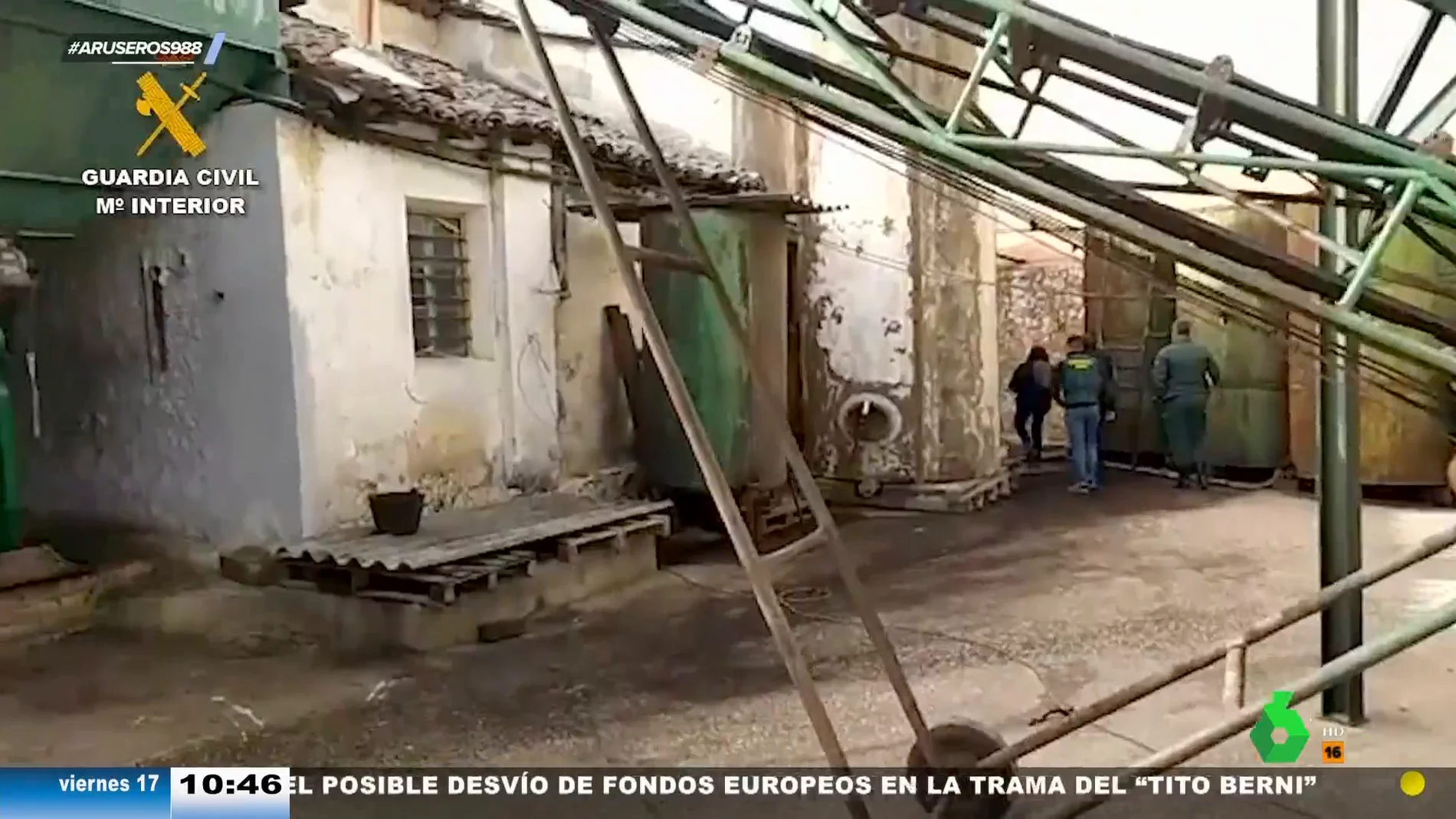 Dieciséis detenidos por robar más de 17 toneladas de aceitunas en la comarca de Las Vegas, Madrid