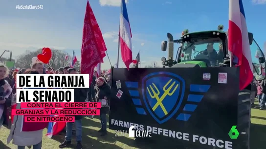 ¿Qué se esconde tras el éxito del partido de los granjeros en los Países Bajos? ¿Qué se esconde tras el éxito del partido de los granjeros en los Países Bajos?