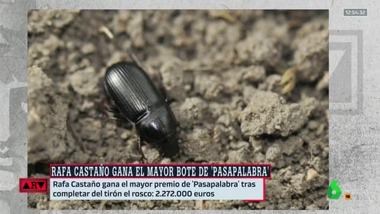 zabro zabro