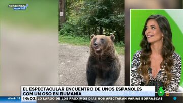 La bióloga Evelyn Segura alerta sobre las consecuencias de dar comida a osos salvajes