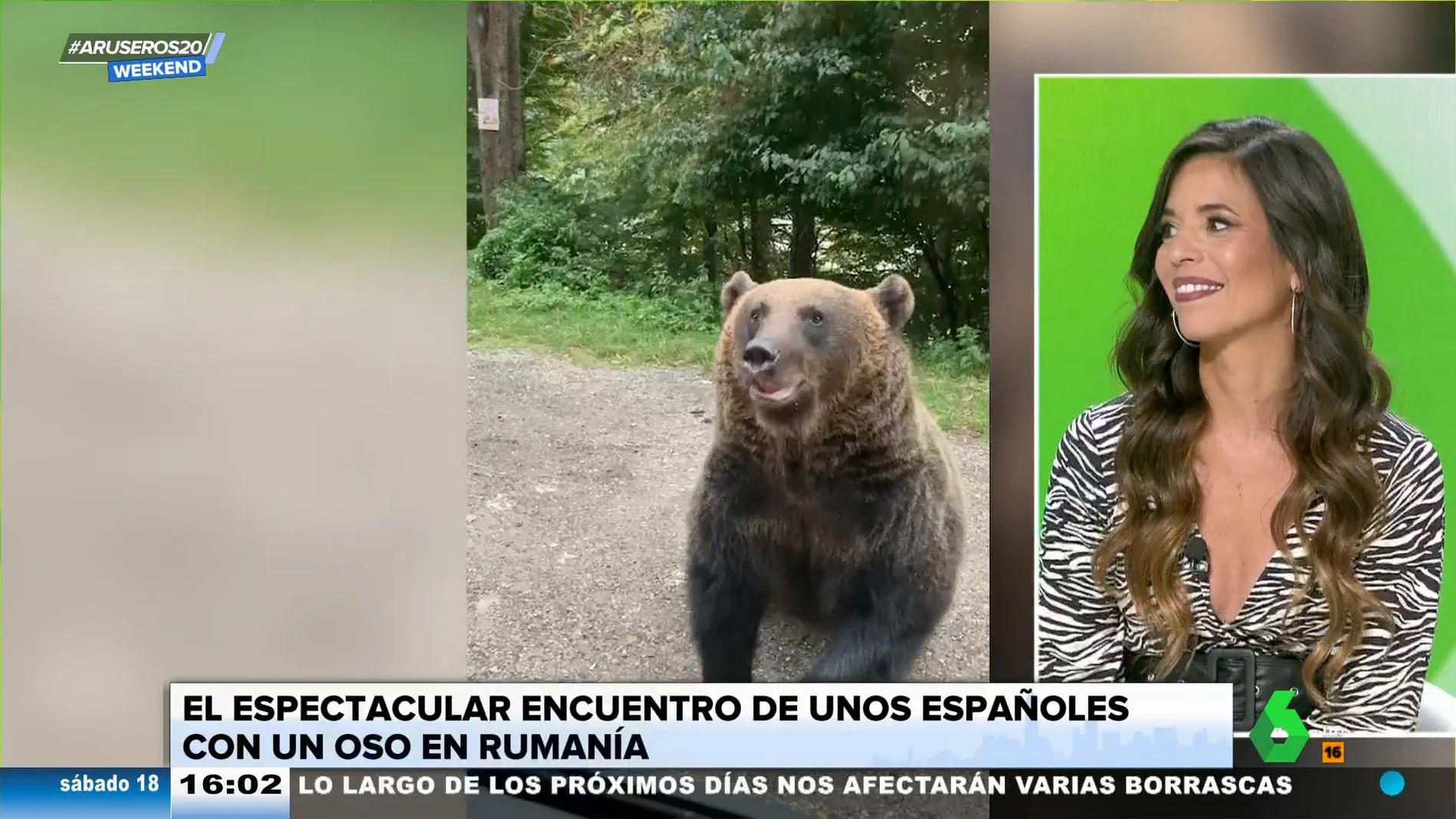 proteccion emulsión ligero La bióloga Evelyn Segura alerta sobre las consecuencias de dar comida a osos  salvajes