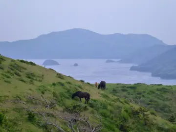 Islas Oki, el paraíso japonés que atrae a los amantes de los deportes acuáticos y la naturaleza Islas Oki, el paraíso japonés que atrae a los amantes de los deportes acuáticos y la naturaleza