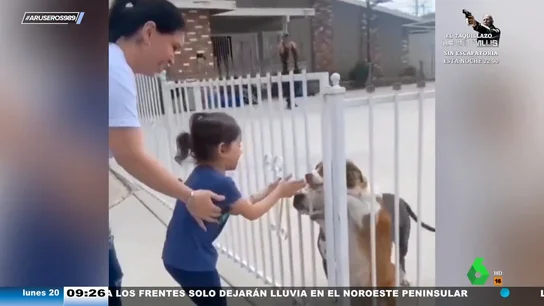La emocionante reacción de una niña cuando vuelve a encontrarse con su perro que se perdió en Navidad La emocionante reacción de una niña cuando vuelve a encontrarse con su perro que se perdió en Navidad